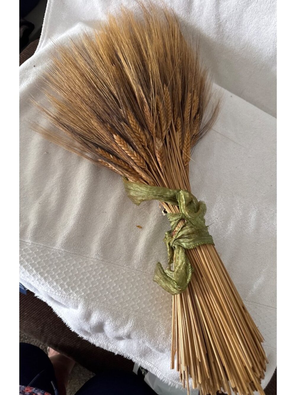 Dried Wheat Stalk Bundle With Green Ribbon - 22" Tall Natural Harvest Decoration